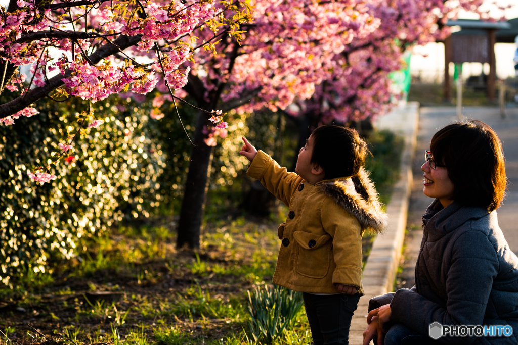 何を見つけたのかな？