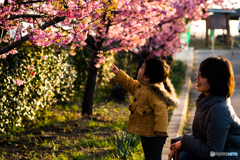 何を見つけたのかな？