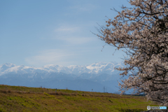 立山連峰を臨む