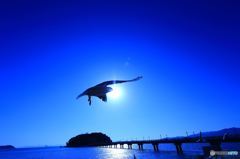 ゆりかもめと竹島