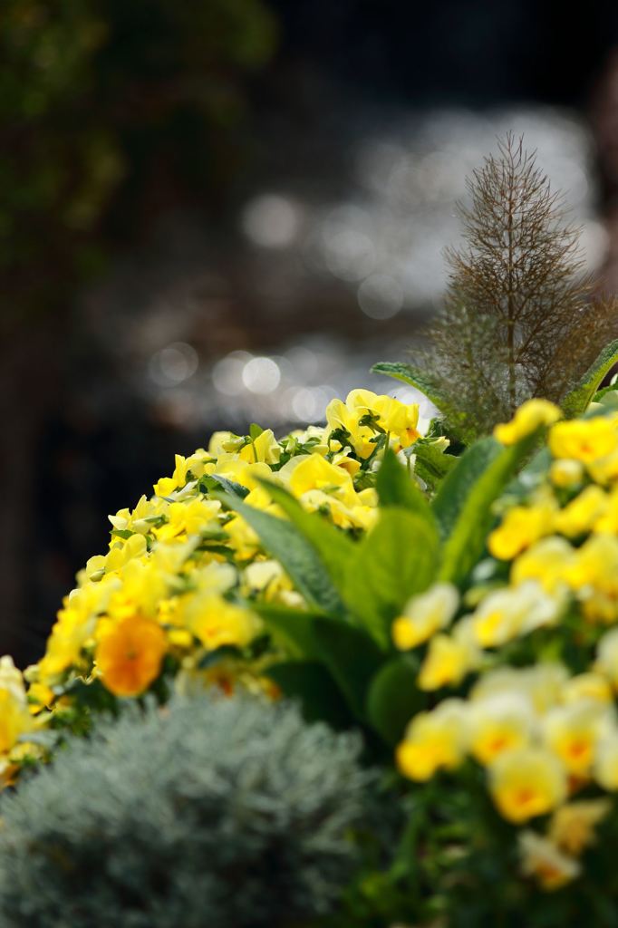 小さな森のその先に・・・