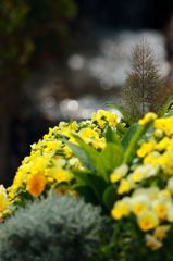 小さな森のその先に・・・