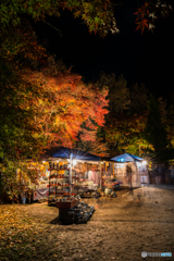 Street vendor 