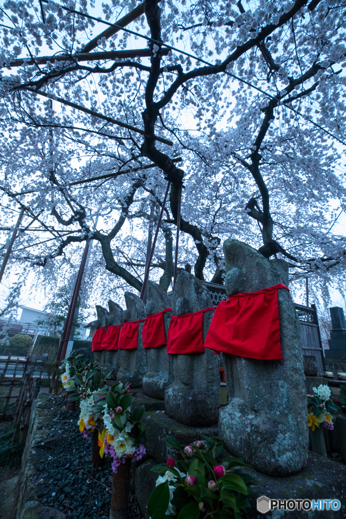 jizo