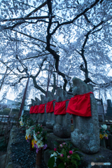 jizo