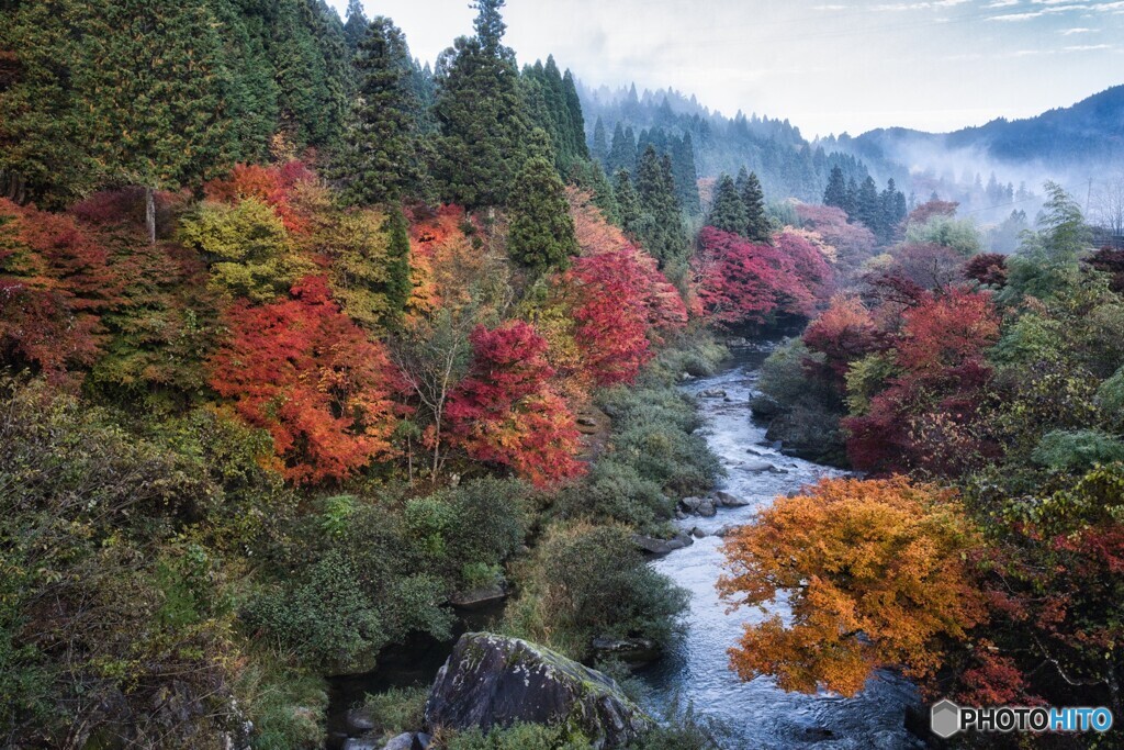 名倉川の紅葉