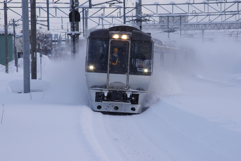 雪を巻き上げて走るスーパーカムイ