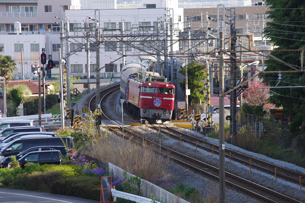 ニコニコ超会議号 (上越線渋川-八木原 間)