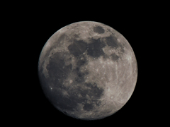 MOON