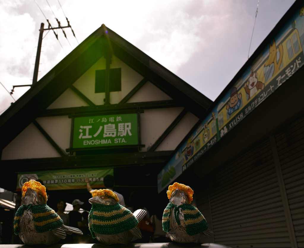 江ノ電ノスズメ