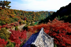 錦秋の嵐渓
