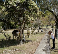 PEACEFUL PARK   inclusive world