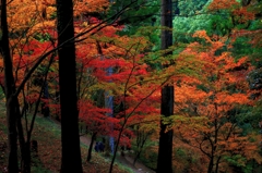 紅葉山