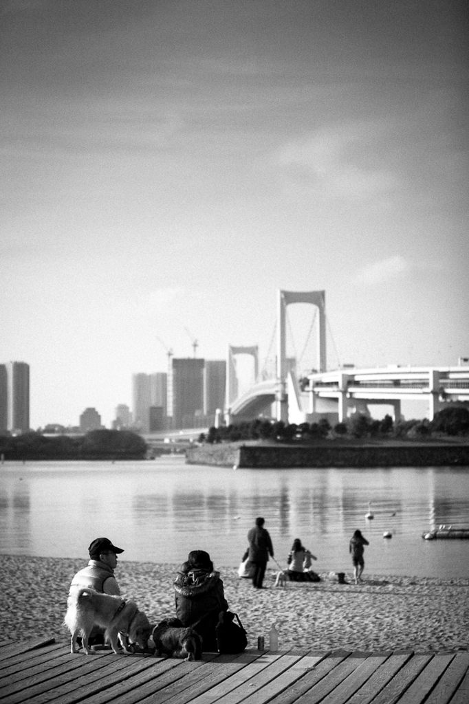 daiba