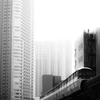 shibaura