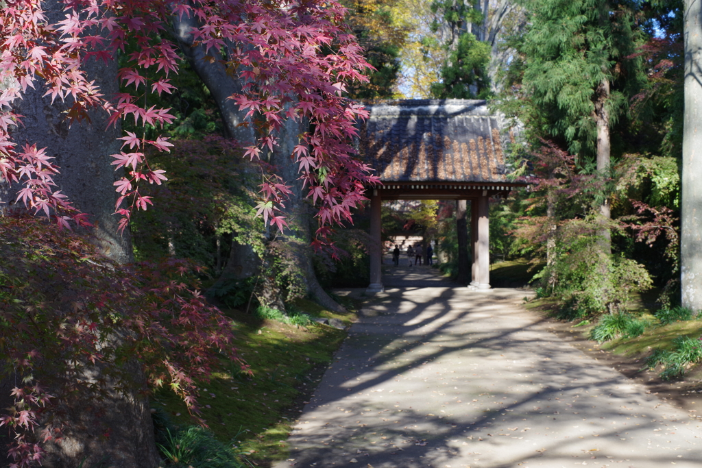 最勝寺6