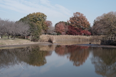 砂沼広域公園