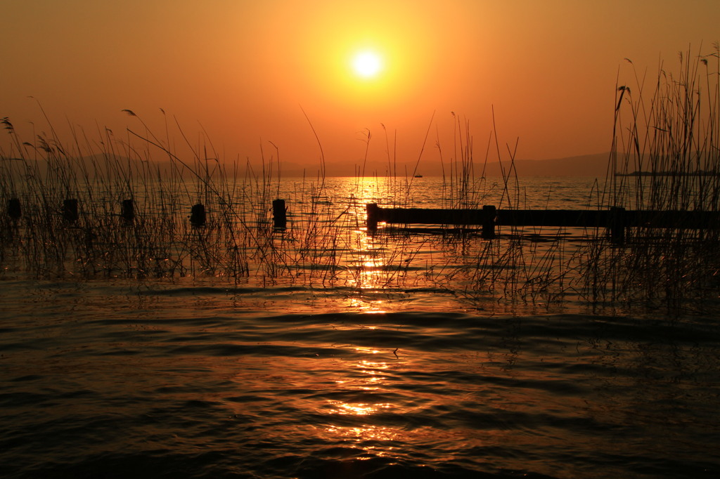 夕波