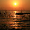 夕波