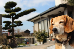 夢うつつ