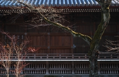 寛永寺