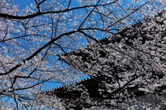 増上寺３