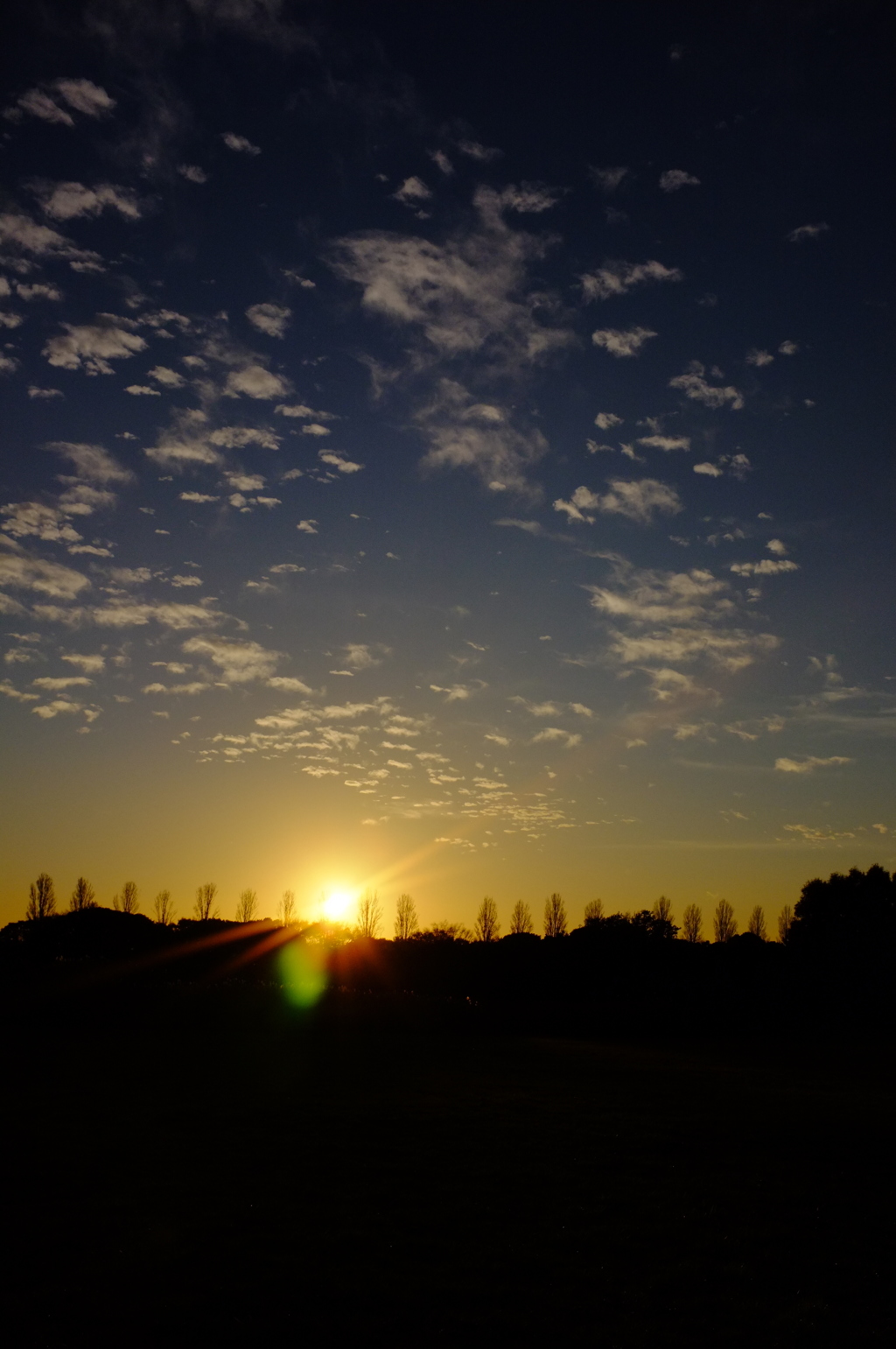 DSCF7061