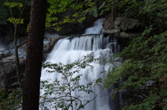 DSC01575
