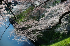 春の静寂