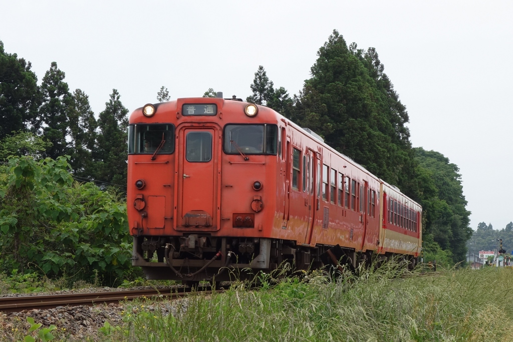 DSC02457