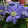 049