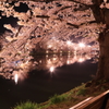 弘前さくら③
