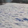 朝、雪解けの道