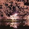 弘前さくら①
