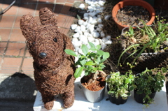 植木とオブジェ
