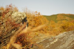 岩畳と紅葉