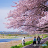 桜のある風景