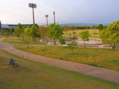 ミニチュア