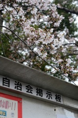 ご近所の公園にて
