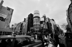 DSC_1099 3