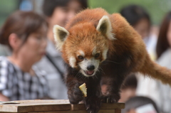 ご馳走もらった！
