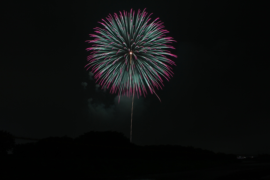 夜空に咲く一輪の花