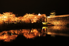 夜桜夜鏡