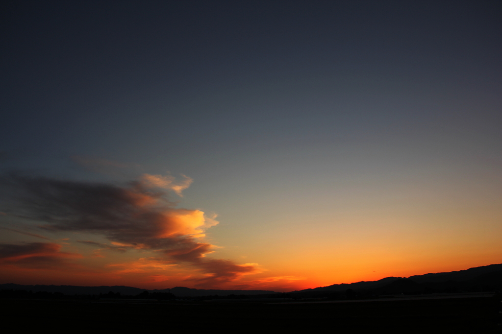 夕暮れの君