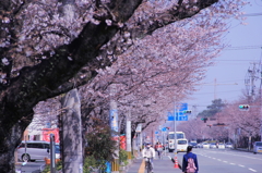 春の始まり
