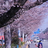 春の始まり