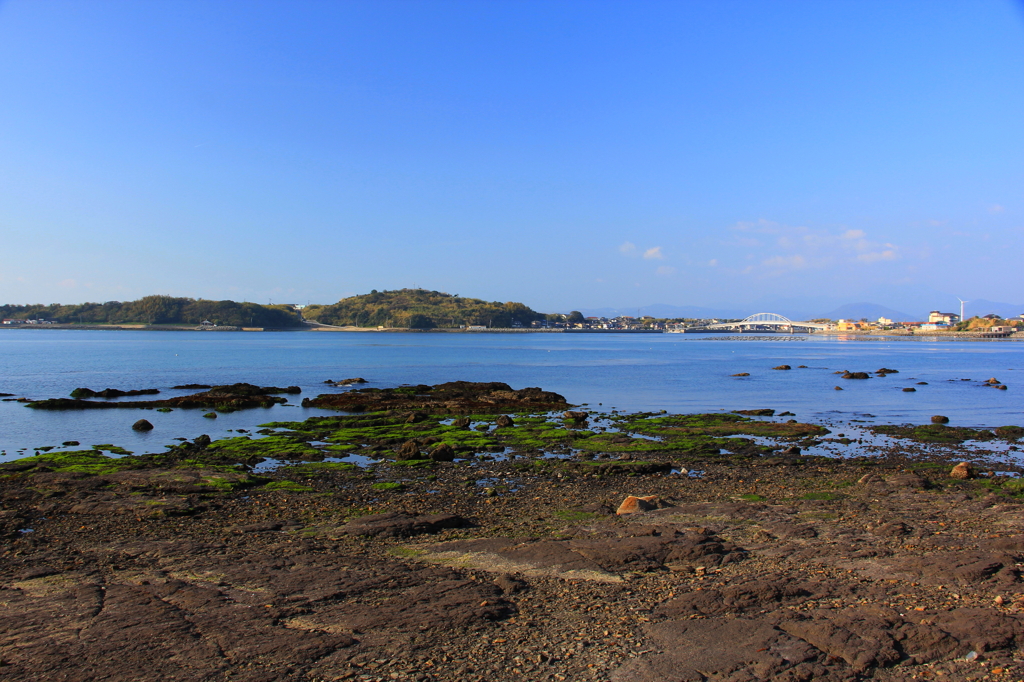 対岸を望む