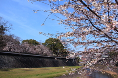 長塀から