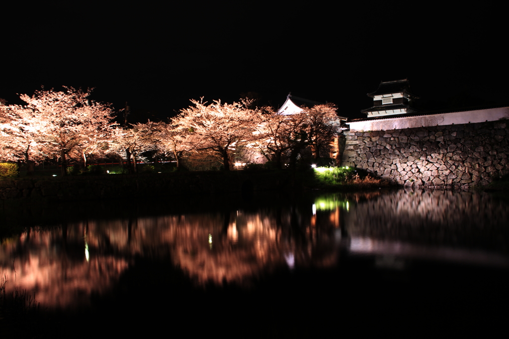 夜鏡桜色