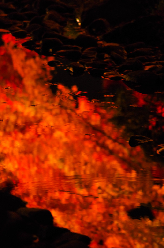 ライトアップ！